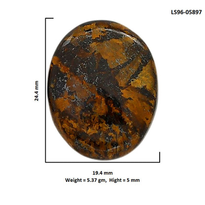 Bronzite 19.4x24.4x5 mm Oval Shape Polished Gemstone LS96-05897