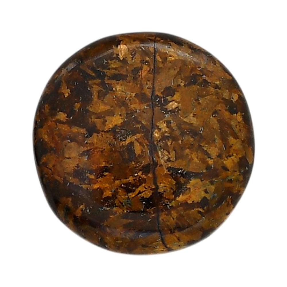 Bronzite 26.9x26.9x5.8 mm Round Shape Polished Gemstone LS96-05900