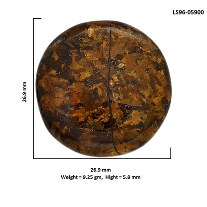 Bronzite 26.9x26.9x5.8 mm Round Shape Polished Gemstone LS96-05900