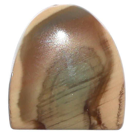 Imperial Jasper 16.9x18.2x4.8 mm Fancy Shape Polished Gemstone LS97-08250