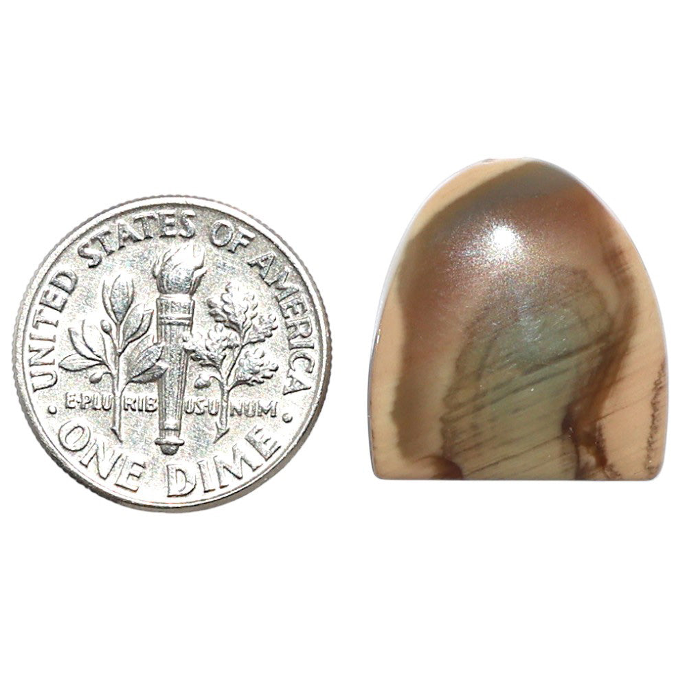 Imperial Jasper 16.9x18.2x4.8 mm Fancy Shape Polished Gemstone LS97-08250
