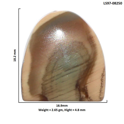Imperial Jasper 16.9x18.2x4.8 mm Fancy Shape Polished Gemstone LS97-08250