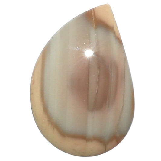 Imperial Jasper 15x21.7x5 mm Fancy Shape Polished Gemstone LS97-08252