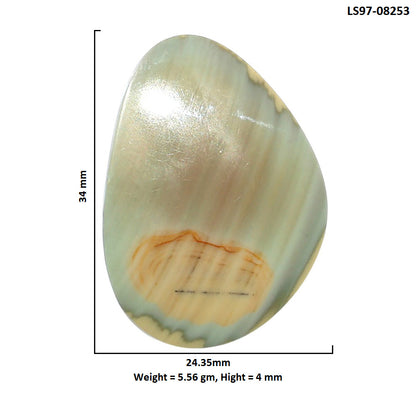 Imperial Jasper 24.35x34x4 mm Fancy Shape Polished Gemstone LS97-08253