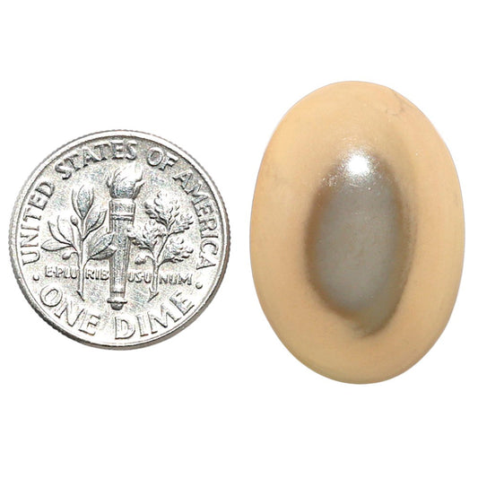 Imperial Jasper 17.5x24.45x5 mm Oval Shape Polished Gemstone LS97-08280