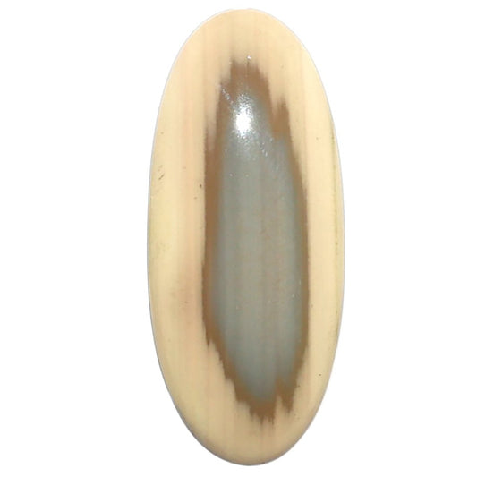 Imperial Jasper 12.3x28.5x4.5 mm Oval Shape Polished Gemstone LS97-08284