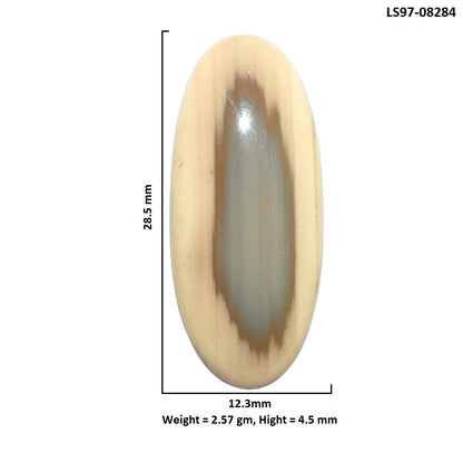 Imperial Jasper 12.3x28.5x4.5 mm Oval Shape Polished Gemstone LS97-08284
