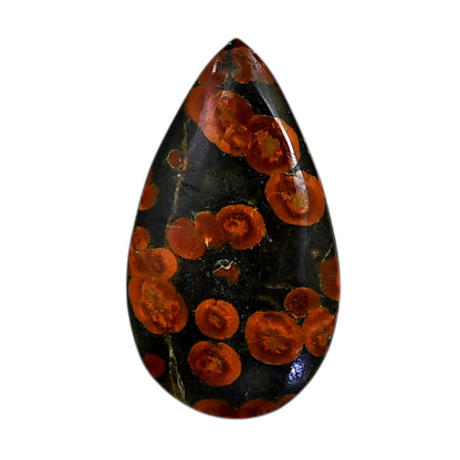 Peanut Obsidian 20.6x36.6x5 mm Pear Shape Polished Gemstone LS98-05975