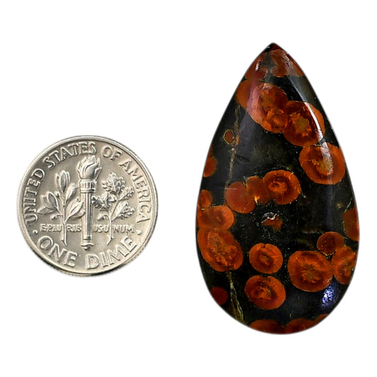 Peanut Obsidian 20.6x36.6x5 mm Pear Shape Polished Gemstone LS98-05975