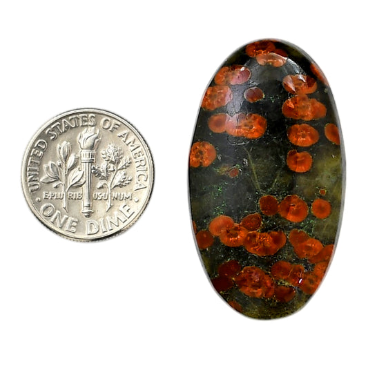 Peanut Obsidian 21.25x37.35x6.5 mm Oval Shape Polished Gemstone LS98-05976