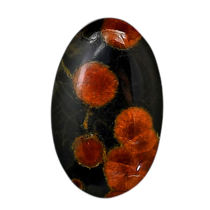 Peanut Obsidian 18.8x30.25x6.2 mm Oval Shape Polished Gemstone LS98-05977