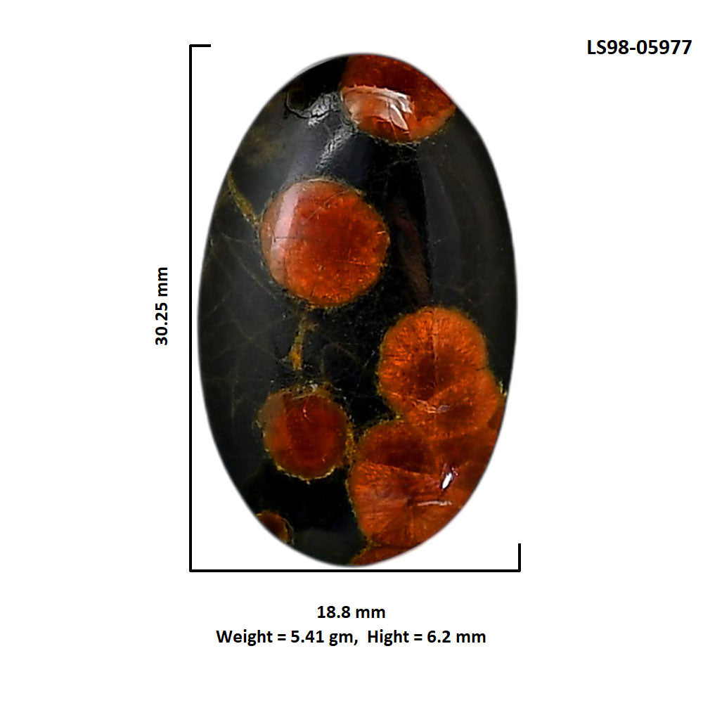 Peanut Obsidian 18.8x30.25x6.2 mm Oval Shape Polished Gemstone LS98-05977