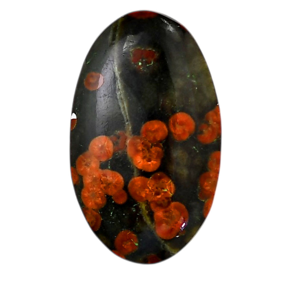 Peanut Obsidian 20.5x34.5x6 mm Oval Shape Polished Gemstone LS98-05979