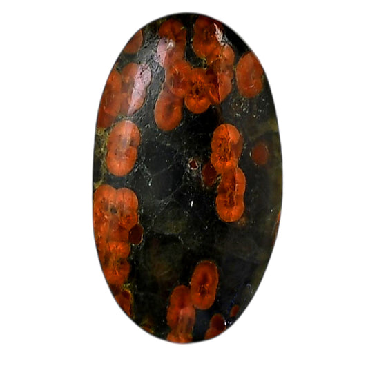 Peanut Obsidian 19.7x34.3x6 mm Oval Shape Polished Gemstone LS98-05980