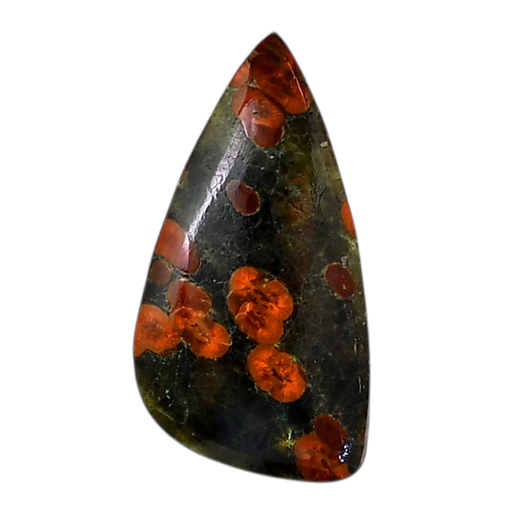 Peanut Obsidian 18.1x34.8x5.6 mm Fancy Shape Polished Gemstone LS98-05982