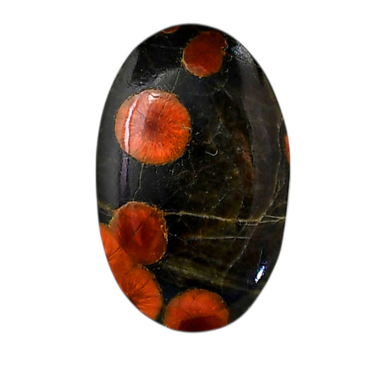 Peanut Obsidian 18.8x29.3x5.7 mm Oval Shape Polished Gemstone LS98-05983