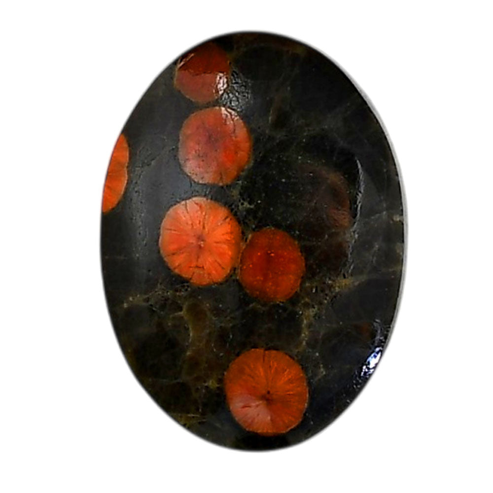Peanut Obsidian 19.8x27x5 mm Oval Shape Polished Gemstone LS98-05986