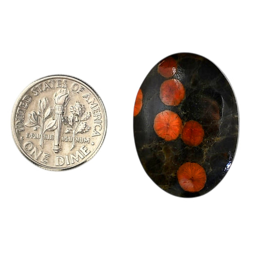 Peanut Obsidian 19.8x27x5 mm Oval Shape Polished Gemstone LS98-05986