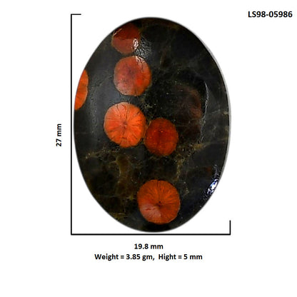 Peanut Obsidian 19.8x27x5 mm Oval Shape Polished Gemstone LS98-05986