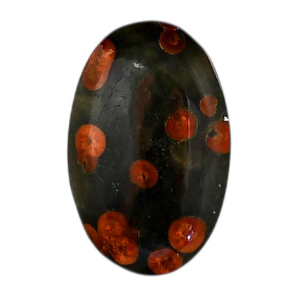 Peanut Obsidian 16.5x25.7x5.5 mm Oval Shape Polished Gemstone LS98-05987