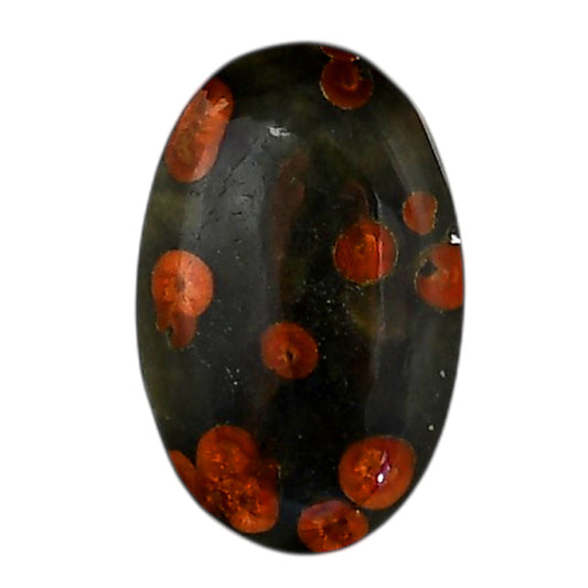 Peanut Obsidian 16.5x25.7x5.5 mm Oval Shape Polished Gemstone LS98-05987