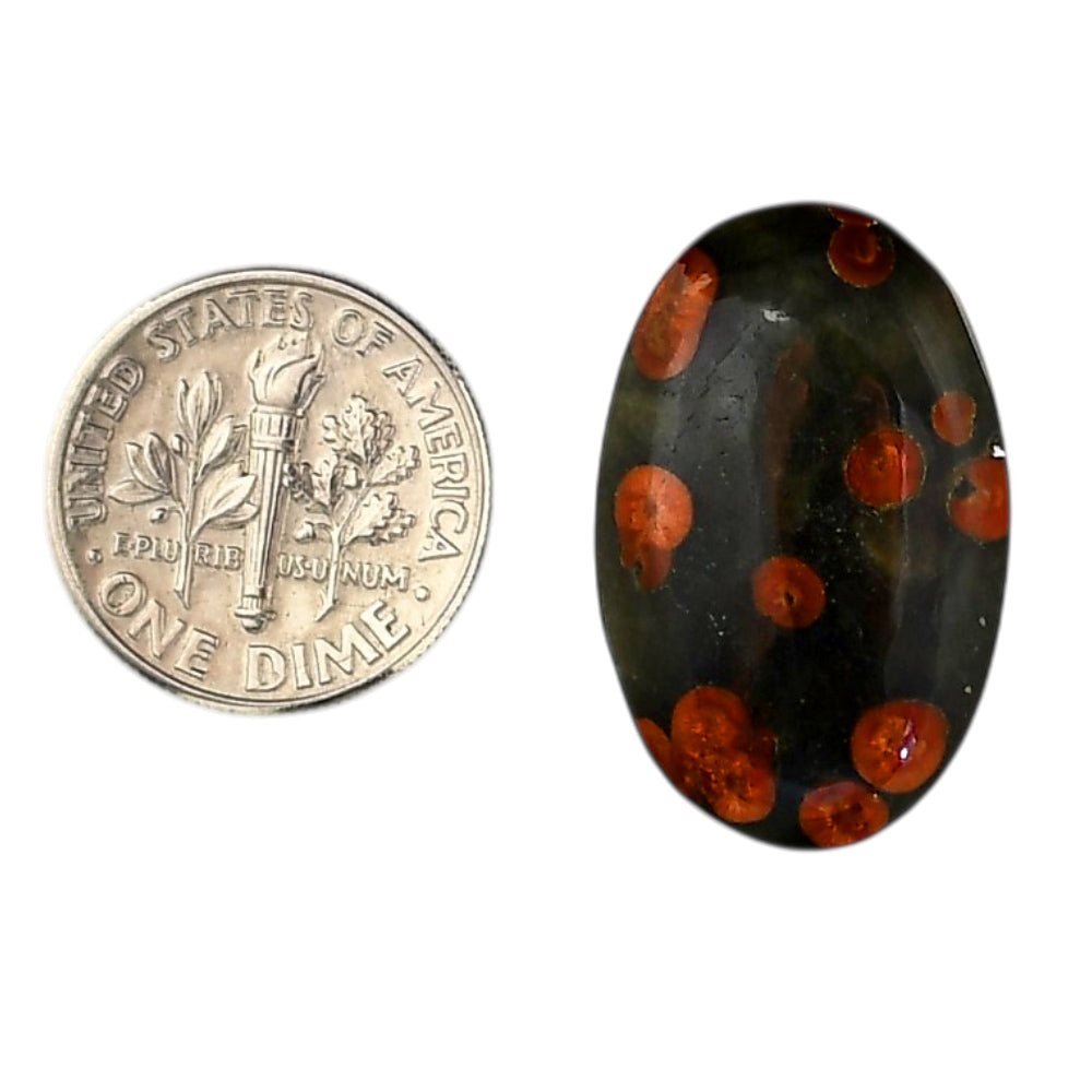 Peanut Obsidian 16.5x25.7x5.5 mm Oval Shape Polished Gemstone LS98-05987