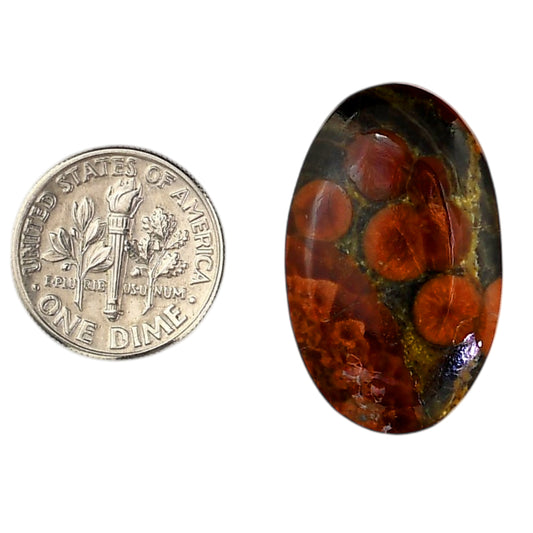 Peanut Obsidian 18x29.25x5 mm Oval Shape Polished Gemstone LS98-05988
