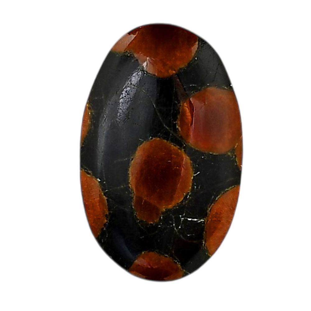 Peanut Obsidian 17.7x28.2x7 mm Oval Shape Polished Gemstone LS98-05991