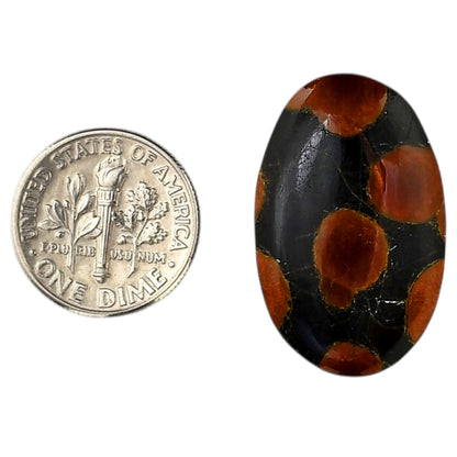 Peanut Obsidian 17.7x28.2x7 mm Oval Shape Polished Gemstone LS98-05991