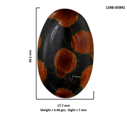 Peanut Obsidian 17.7x28.2x7 mm Oval Shape Polished Gemstone LS98-05991