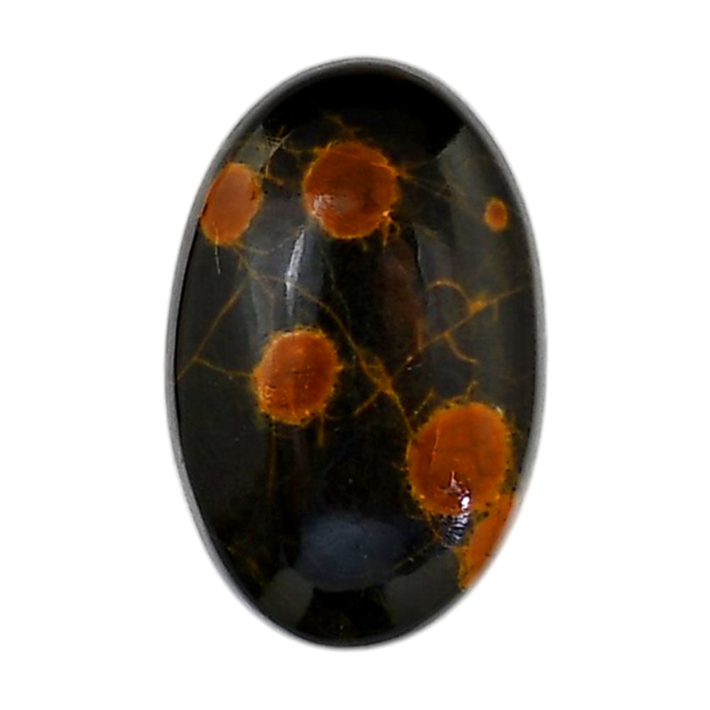 Peanut Obsidian 18.15x28.3x7 mm Oval Shape Polished Gemstone LS98-05992