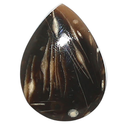 Natural Bat Cave Jasper 14x19.6x5 mm Pear Shape Polished Gemstone LS99-010007