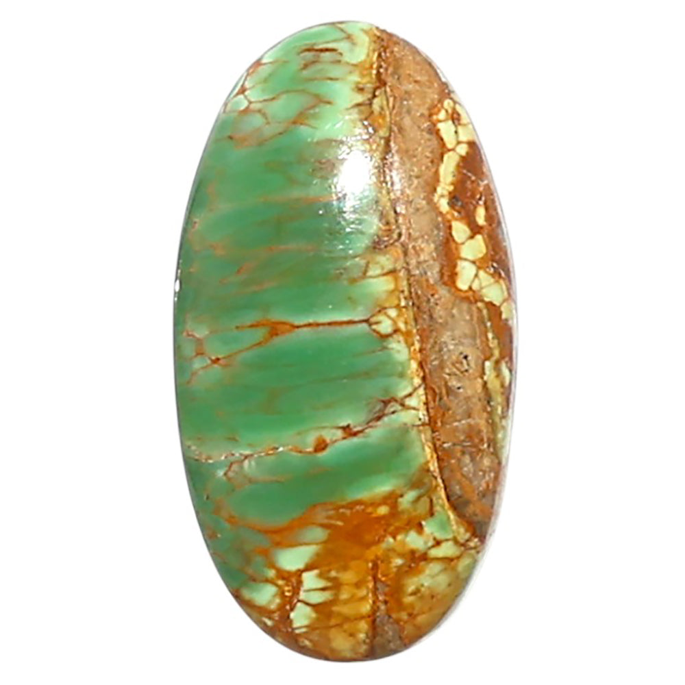 Natural Australian Variscite 12.6x23.7x5 mm Oval Shape Polished Gemstone LS99-010014