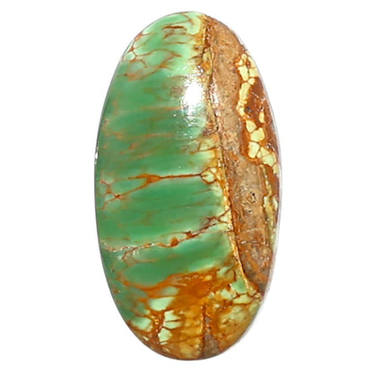 Natural Australian Variscite 12.6x23.7x5 mm Oval Shape Polished Gemstone LS99-010014