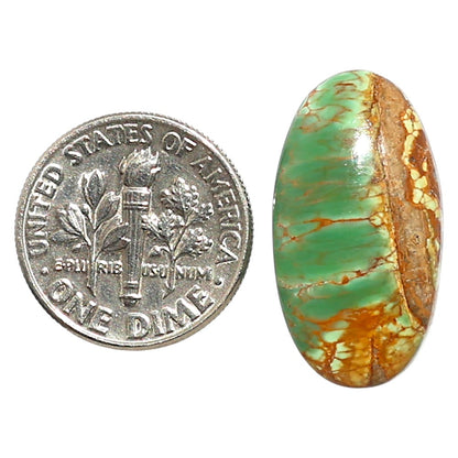 Natural Australian Variscite 12.6x23.7x5 mm Oval Shape Polished Gemstone LS99-010014