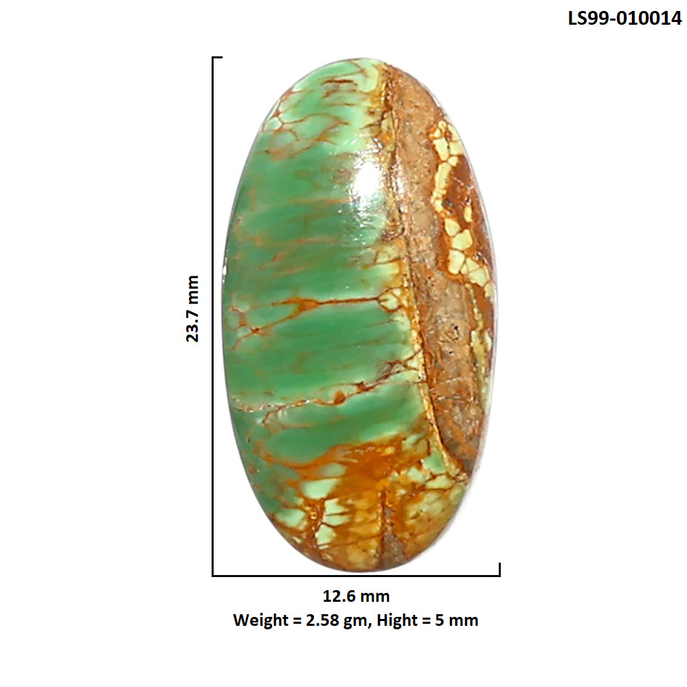 Natural Australian Variscite 12.6x23.7x5 mm Oval Shape Polished Gemstone LS99-010014