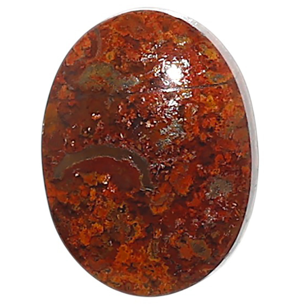 Natural Rare Cady Mountain Agate 14.6x19.5x5 mm Oval Shape Polished Gemstone LS99-010019