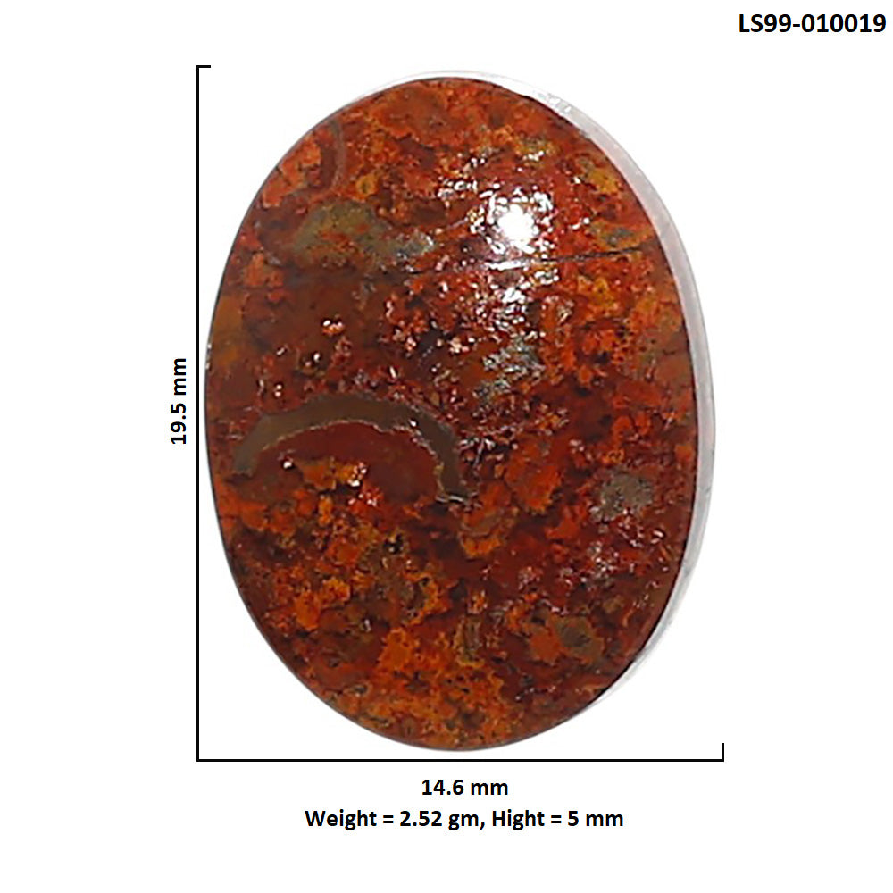 Natural Rare Cady Mountain Agate 14.6x19.5x5 mm Oval Shape Polished Gemstone LS99-010019