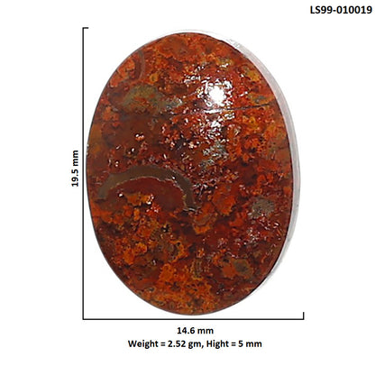 Natural Rare Cady Mountain Agate 14.6x19.5x5 mm Oval Shape Polished Gemstone LS99-010019