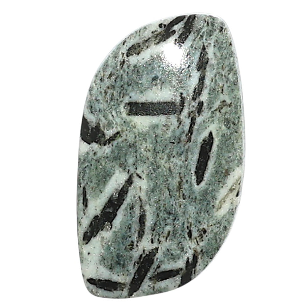 Natural Hornblende 15.2x27.8x5 mm Fancy Shape Polished Gemstone LS99-010028