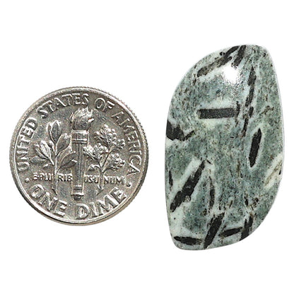 Natural Hornblende 15.2x27.8x5 mm Fancy Shape Polished Gemstone LS99-010028