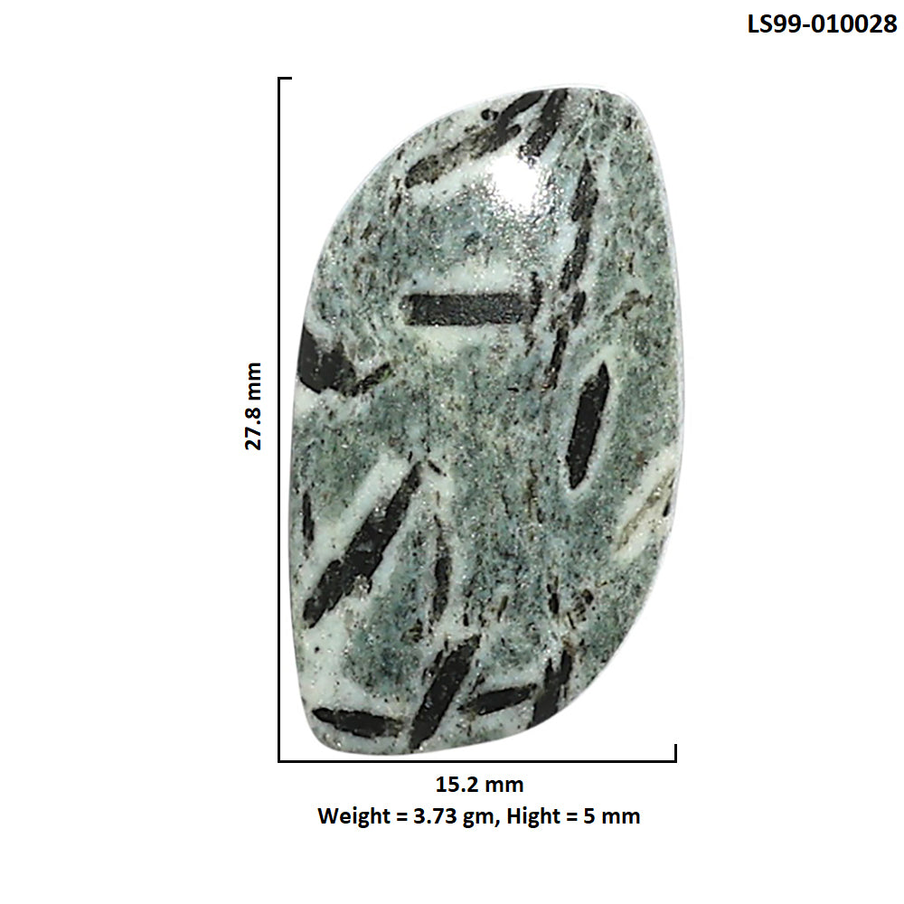 Natural Hornblende 15.2x27.8x5 mm Fancy Shape Polished Gemstone LS99-010028