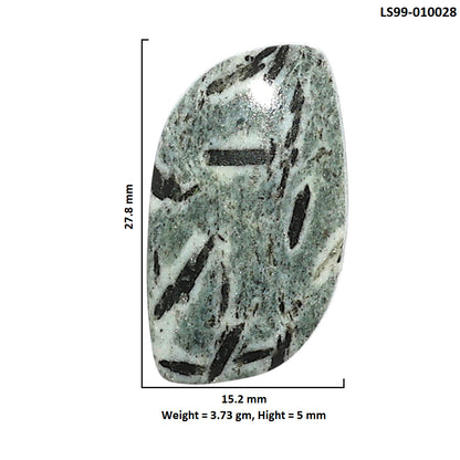 Natural Hornblende 15.2x27.8x5 mm Fancy Shape Polished Gemstone LS99-010028