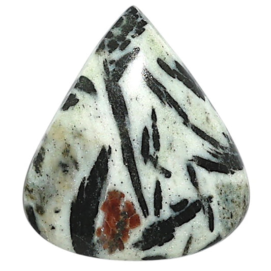Natural Hornblende 23.4x26.25x5 mm Heart Shape Polished Gemstone LS99-010029
