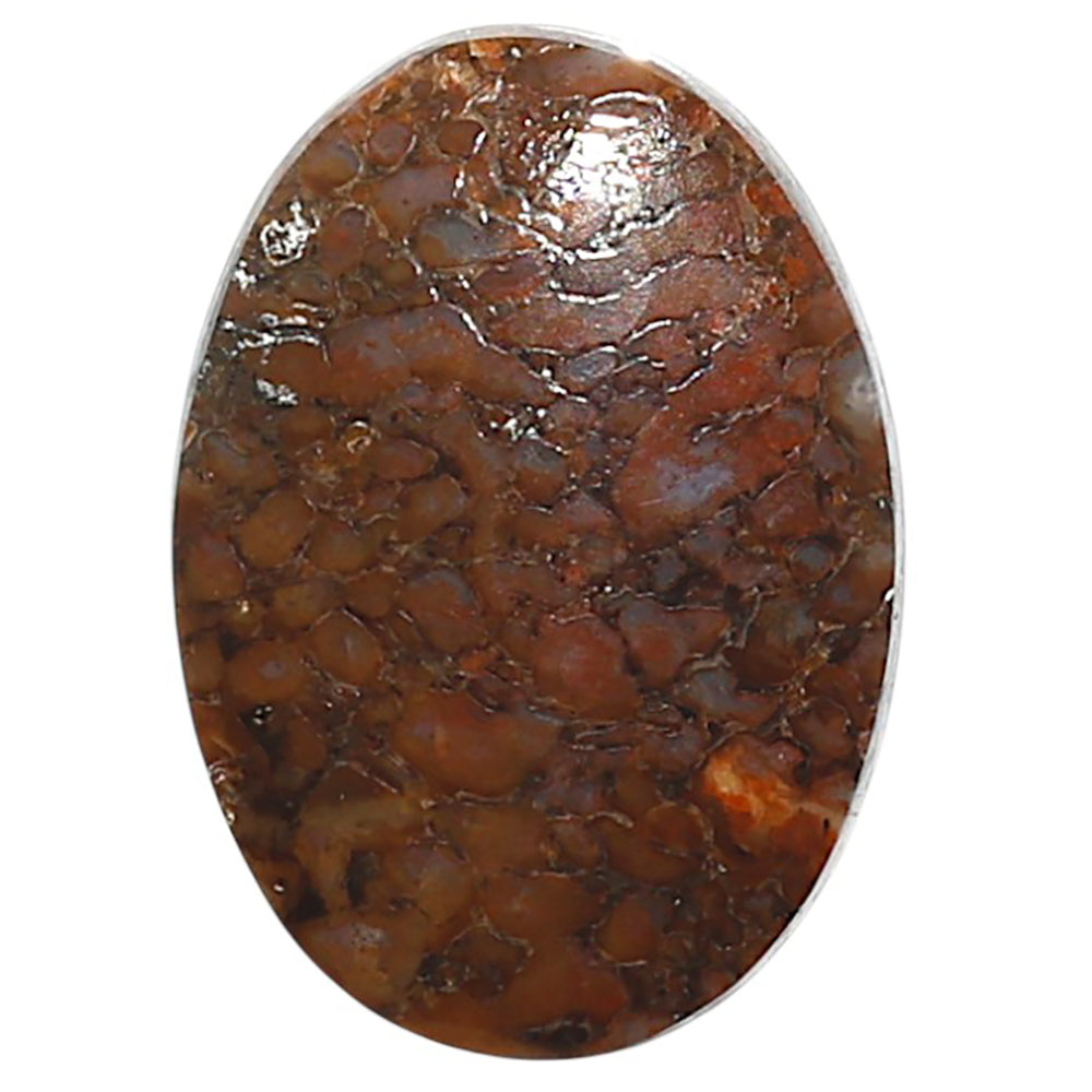 Natural Dinosaur Bone 19x26.9x5 mm Oval Shape Polished Gemstone LS99-010043