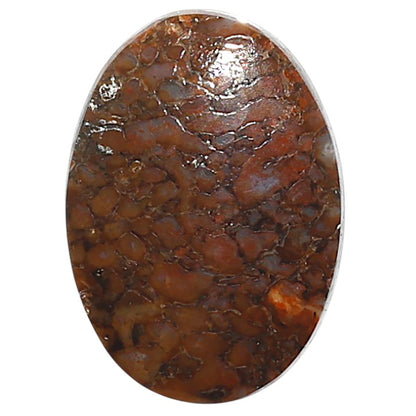 Natural Dinosaur Bone 19x26.9x5 mm Oval Shape Polished Gemstone LS99-010043