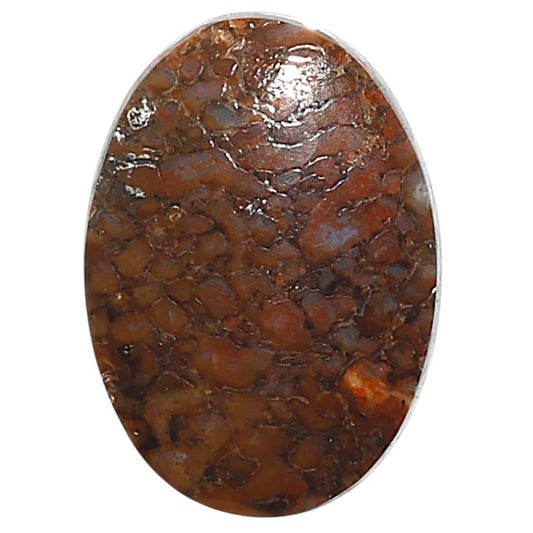 Natural Dinosaur Bone 19x26.9x5 mm Oval Shape Polished Gemstone LS99-010043