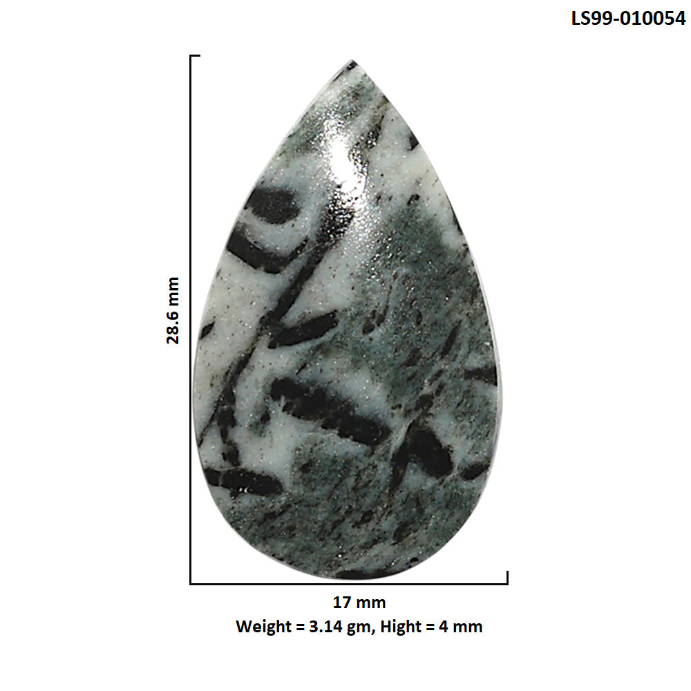 Natural Hornblende 17x28.6x4 mm Pear Shape Polished Gemstone LS99-010054