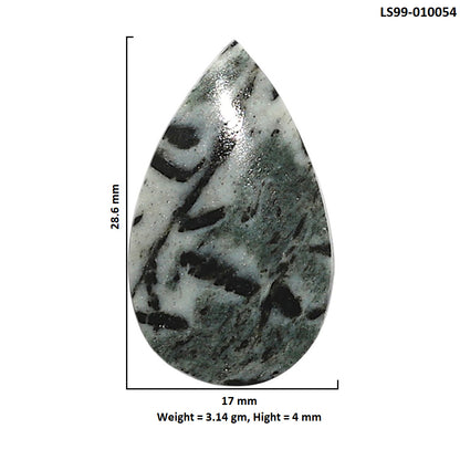 Natural Hornblende 17x28.6x4 mm Pear Shape Polished Gemstone LS99-010054