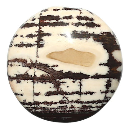Natural Outback Jasper 22x22x5 mm Round Shape Polished Gemstone LS99-010266